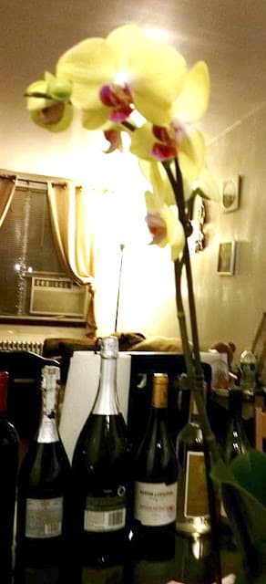HOT144- KHAI BÚT ĐẦU NĂM (Năm Bính Thân)