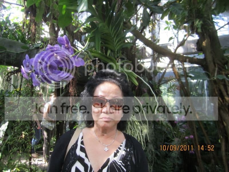 TK055- rong Vườn Thảo Mộc Washington DC