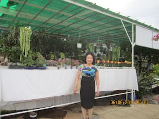 ĐaLat7- XứNgànHoa2