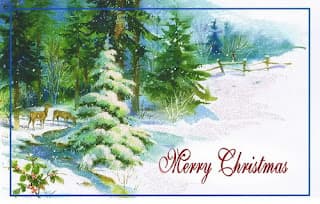 MerryChristmas&Happy NewYear