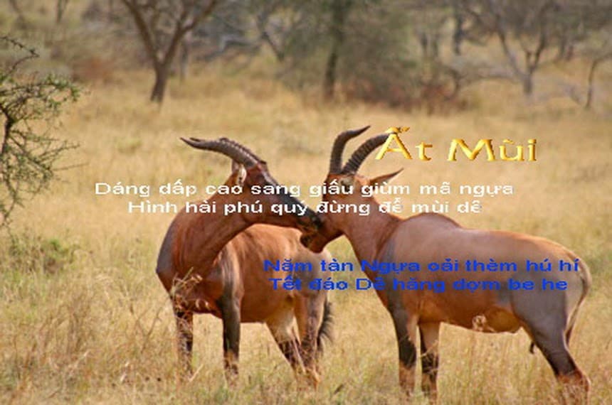 Ất Mùi