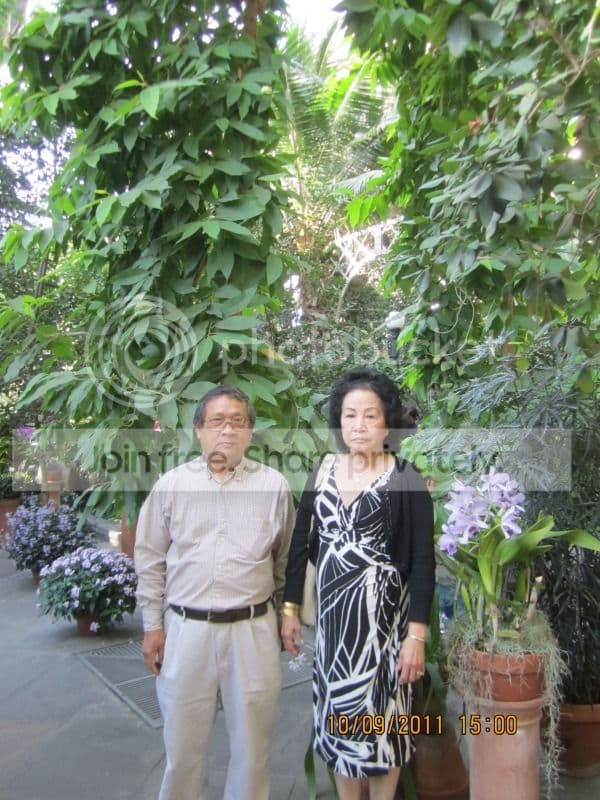 TK054- Vườn Hoa Washington DC