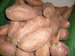ĐX024- Đường TRẠNG TRÌNH
