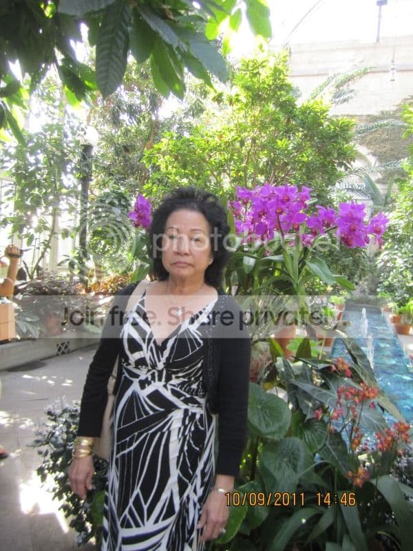TK056- Trong Vườn Bách Thảo Washington DC