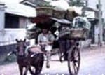 ĐX025- Đường HUỲNH VĂN SẮC