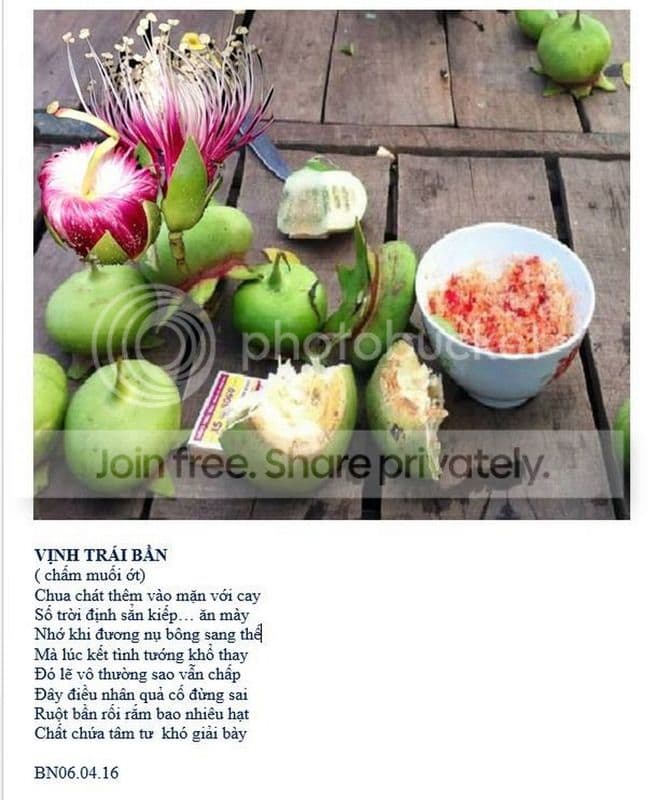 TEU185-  ỚT và Bần