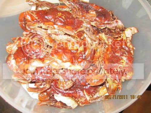 TEU142- Thơ Vui Nhiều Nghĩa: ĐƯỜNG & XẾ
