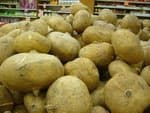 ĐX024- Đường TRẠNG TRÌNH