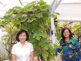 Hỷ Khúc NGAO DU 06: Một Ngày Nhộn Nhịp