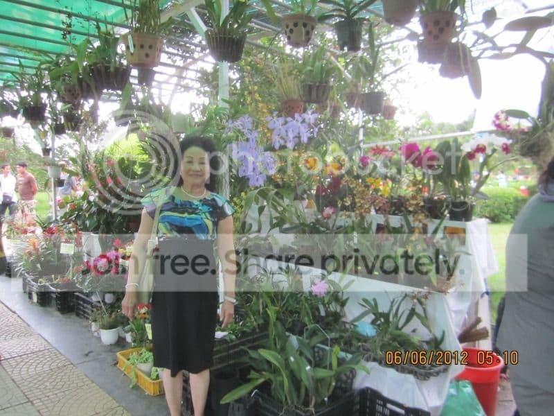 TK053- Vườn Hoa Thành Phố Đà Lạt