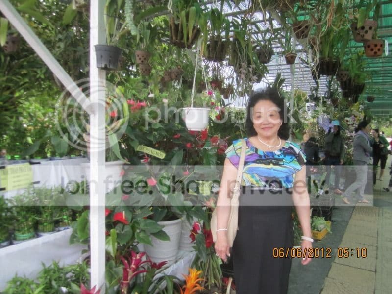TK053- Vườn Hoa Thành Phố Đà Lạt