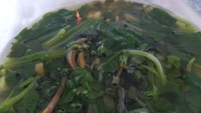 HOT227- KHO QUẸT