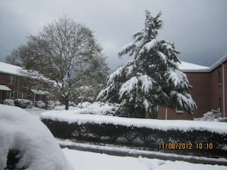 TEU171- Sandy & Snow