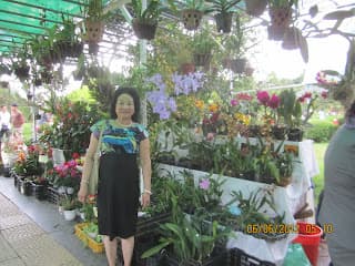 ĐaLat7- XứNgànHoa2