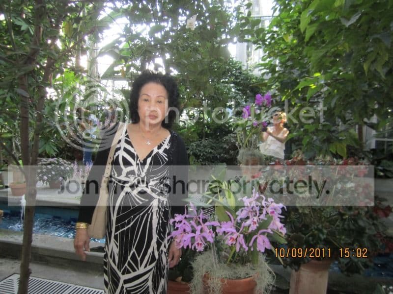 TK054- Vườn Hoa Washington DC