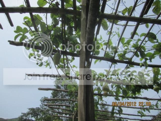 TK048- Đường Lên Đà Lạt