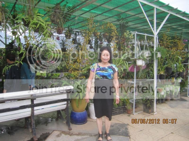 TK053- Vườn Hoa Thành Phố Đà Lạt