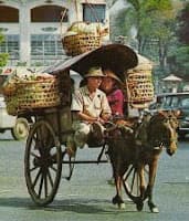 TX011- Bến Xe Ngựa