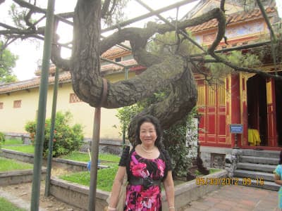 TK037- Hoàng Thành Huế