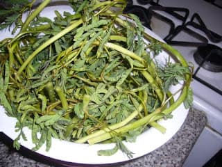 HOT069- Tô Canh Rau Nhúc