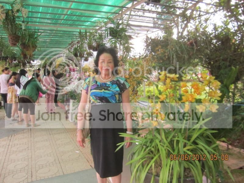 TK053- Vườn Hoa Thành Phố Đà Lạt