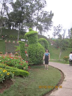 ĐaLat6 -XứNgànHoa1