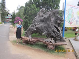 ĐaLat9- XứNgànHoa