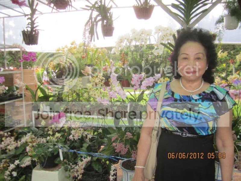 TK053- Vườn Hoa Thành Phố Đà Lạt
