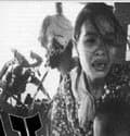 HH068- Tinh Tú Luận